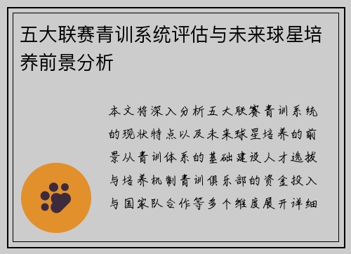 五大联赛青训系统评估与未来球星培养前景分析