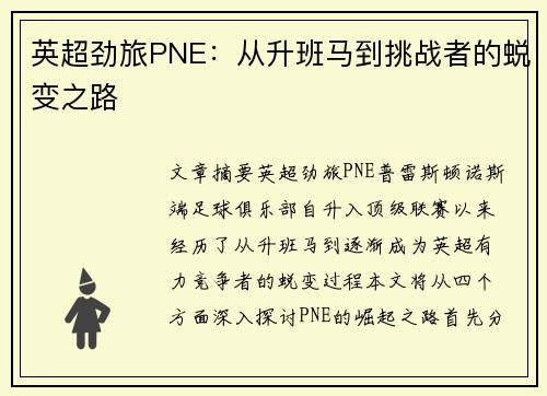英超劲旅PNE：从升班马到挑战者的蜕变之路