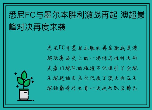 悉尼FC与墨尔本胜利激战再起 澳超巅峰对决再度来袭